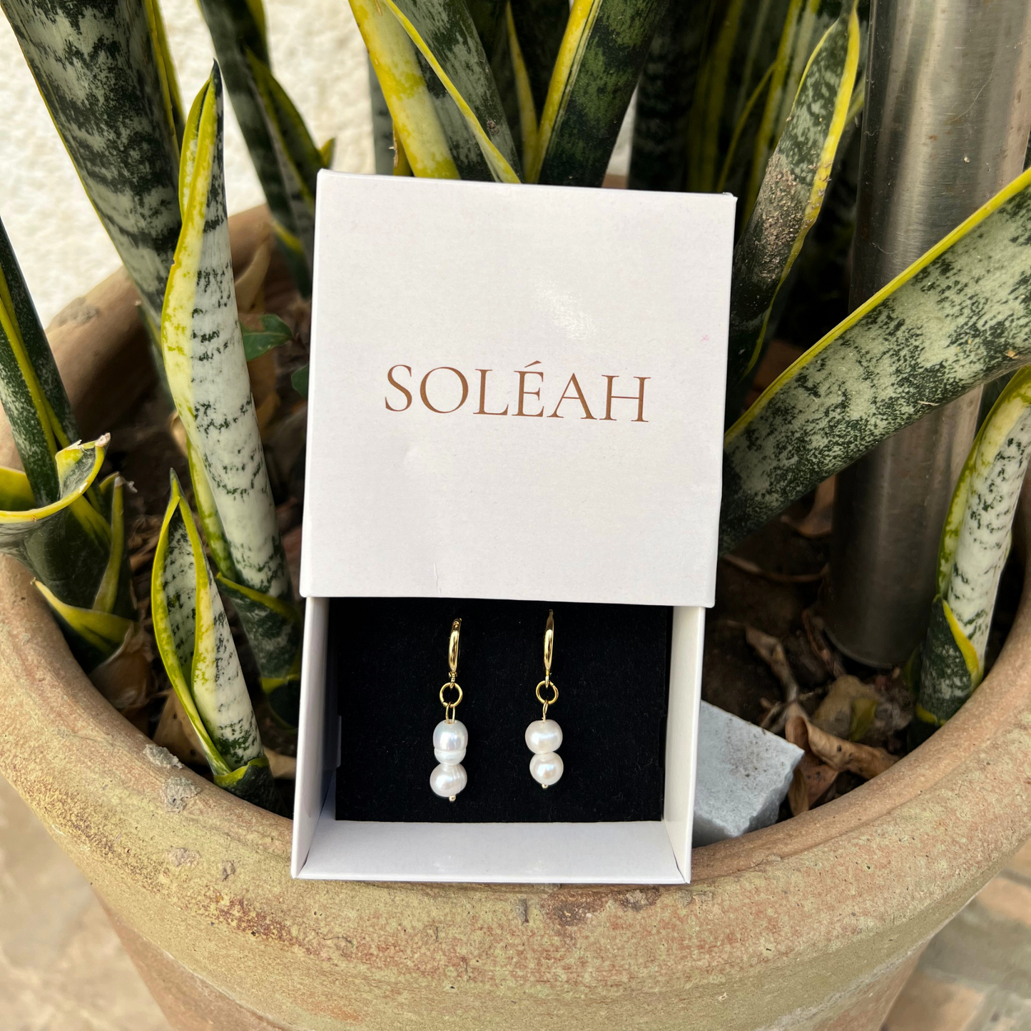 Boucles Nacre Double
